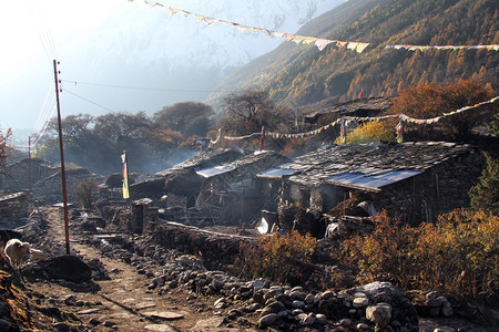 早上好尼泊尔Manaslu附近的Samagoon村图片