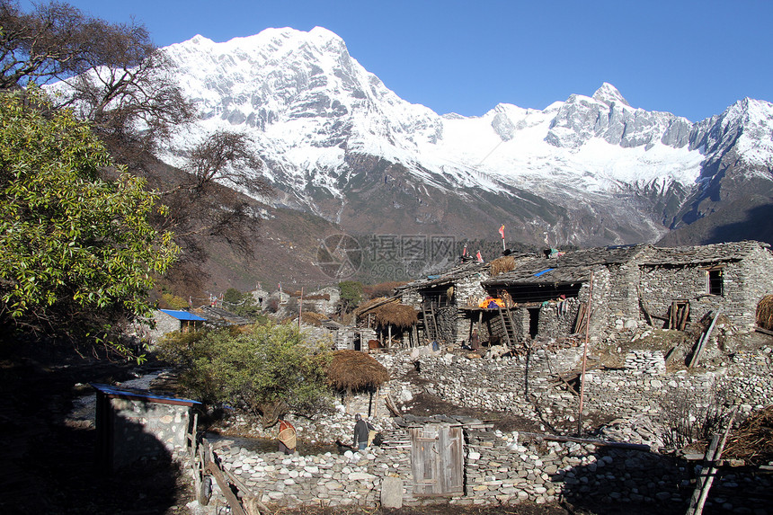 尼泊尔马巴斯卢附近的Samagoon村传统住房图片