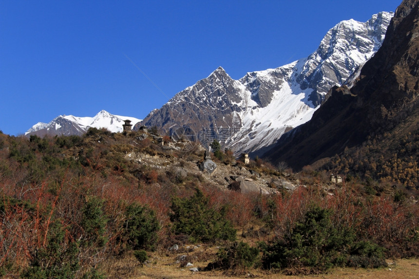尼泊尔的雪山和佛教圣寺图片