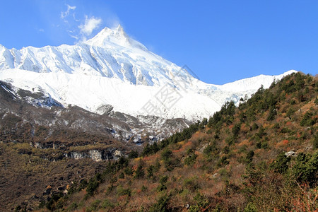 尼泊尔Manaslu山的雪峰图片