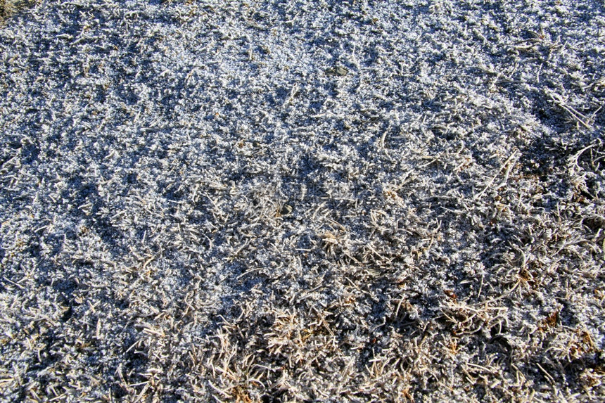 清晨山上的冰在草地图片