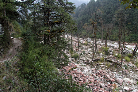 尼泊尔山林中的脚足路径图片