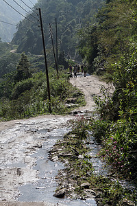 尼泊尔Annapurna小道旅游者步行图片