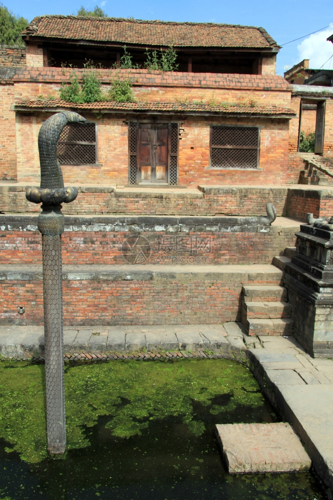 尼泊尔Bhaktapur国王宫喷泉中的铜眼镜蛇AMD水图片
