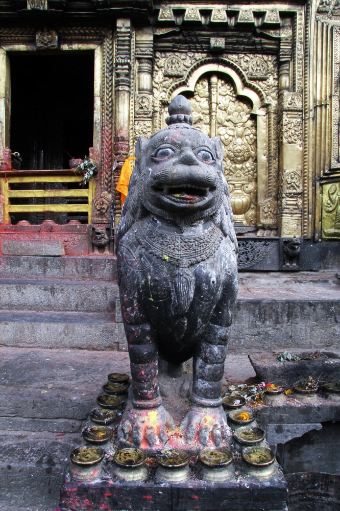 尼泊尔巴克塔普尔附近的樟古纳拉扬神庙门口的狮子雕像图片