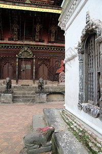 尼泊尔巴克塔普尔附近的石牛和寺庙ChanguNarayan图片