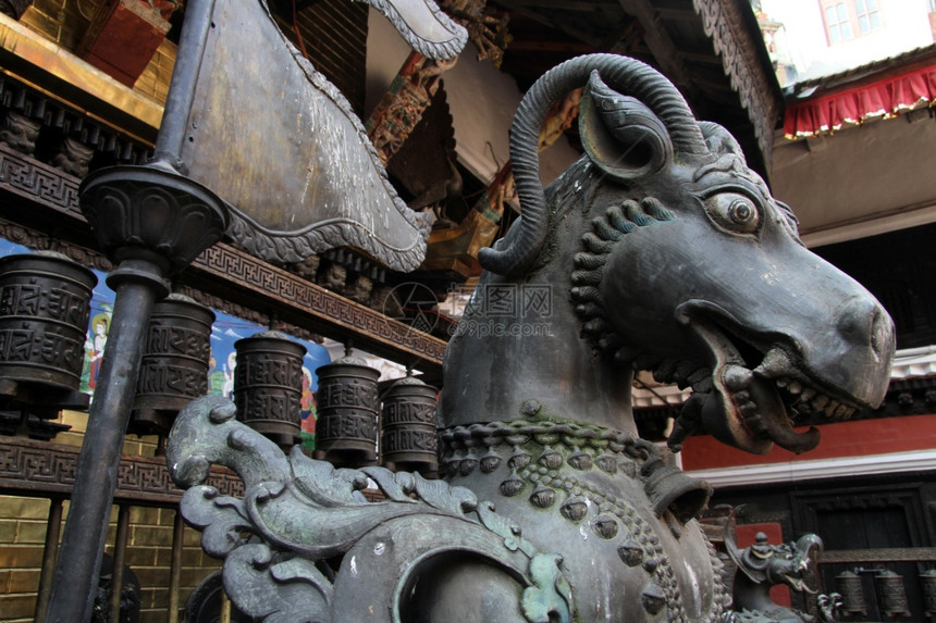 尼泊尔Patan佛教寺的青铜马头领图片