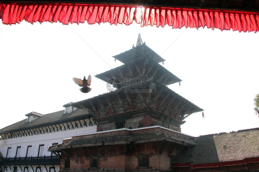 尼泊尔KhatmanduDurbar广场的飞鸽和寺庙图片