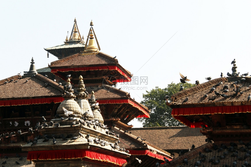 尼泊尔Khatmandu的Durbsr广场上的庙宇屋顶图片