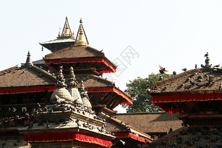 尼泊尔Khatmandu的Durbsr广场上的庙宇屋顶图片