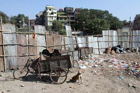 尼泊尔Khatmandu三轮自行车和垃圾图片