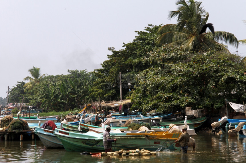 在斯里兰卡内贡博的渔船附近有两名民图片