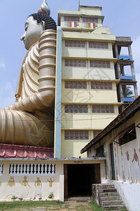 斯里兰卡韦乌鲁坎纳拉维哈拉的大佛像和建筑图片
