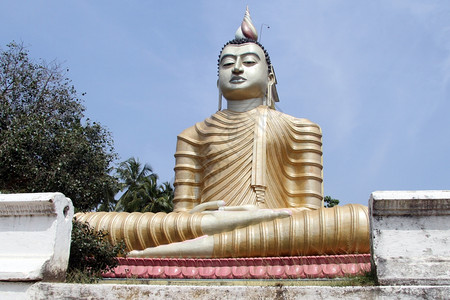 斯里兰卡韦乌鲁坎纳拉维哈拉的大佛图片