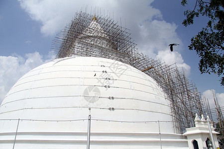 斯里兰卡Tissamaharama地区大白石膏图片