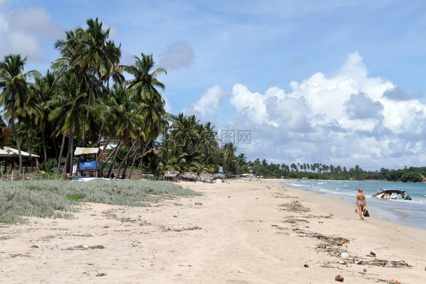 斯里兰卡Uuveleli海滩妇女步行图片