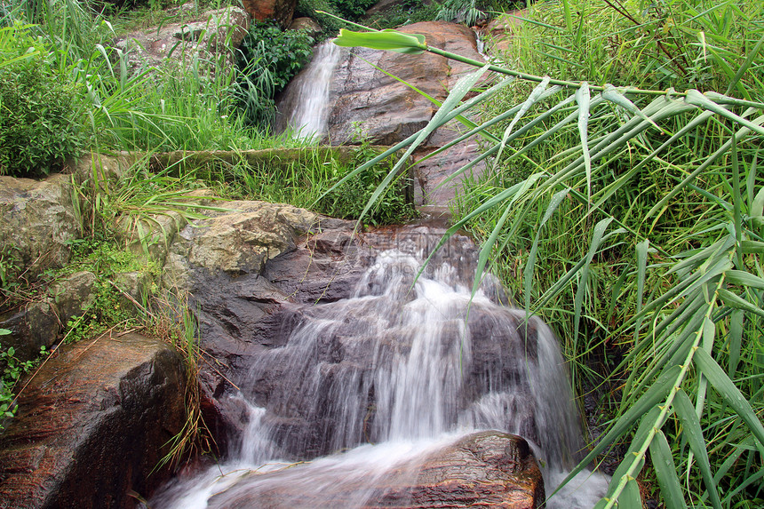 斯里兰卡哈普塔勒附近小瀑布图片