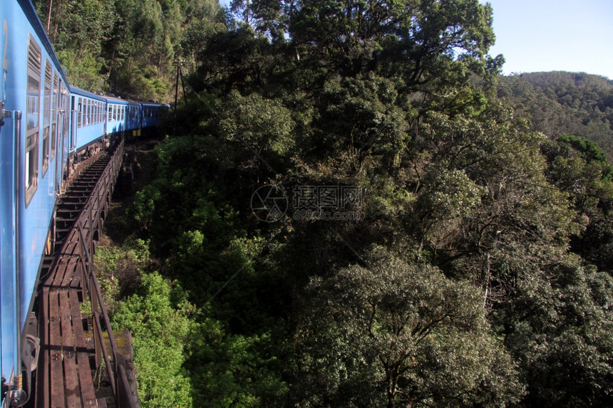 斯里兰卡森林附近桥上的蓝色火车图片