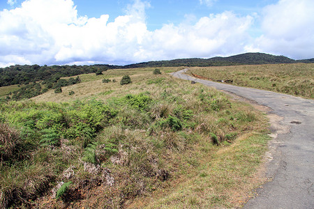 斯里兰卡霍顿平原公园路图片