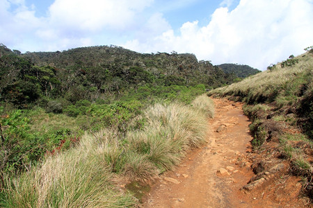 斯里兰卡霍顿平原公园的足迹图片
