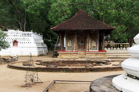斯里兰卡Kandy树下小兴都寺庙图片