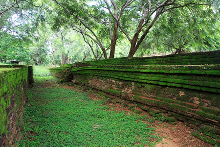 斯里兰卡Polonnaruwa的绿色砖墙图片