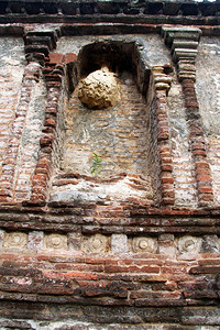 在斯里兰卡波隆纳鲁瓦的兰科特维哈拉塔附近的神龛上筑巢图片