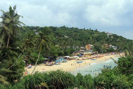 斯里兰卡的Unawatuna海滩和树木图片