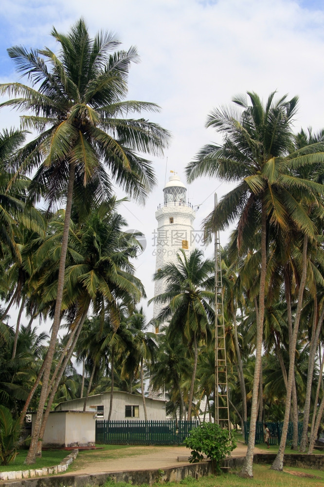 Donddra灯塔和棕榈树斯里兰卡图片