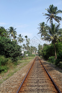 斯里兰卡沿海铁路图片