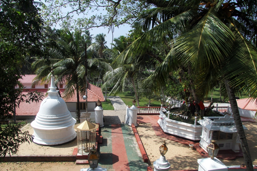 斯里兰卡贝鲁瓦拉萨普戈达维哈拉亚的树木和佛塔图片
