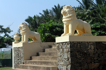 斯里兰卡Panadura水泥楼梯和黄色狮子图片