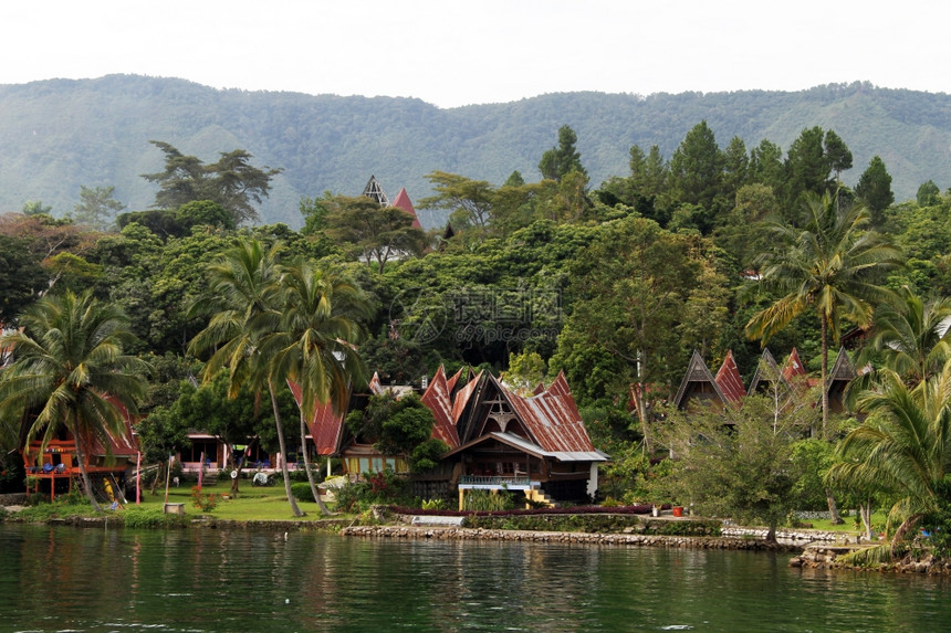 印度尼西亚Samosir岛的Bungalow和棕榈树图片