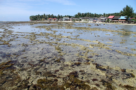 埃姆拉克印度尼西亚斯岛PantaiSorake海滩低潮背景