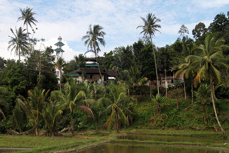 印度尼西亚fice油田附近的清真寺和棕榈树图片