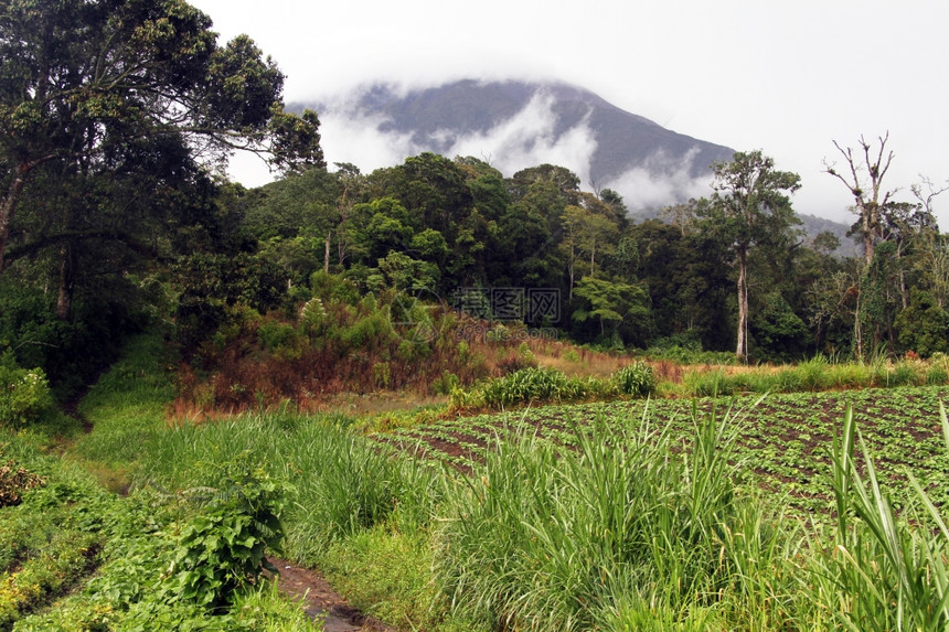 印度尼西亚Kerinci火山的足迹图片