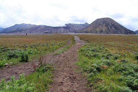 印度尼西亚Bromo火山的卡路德拉足迹图片