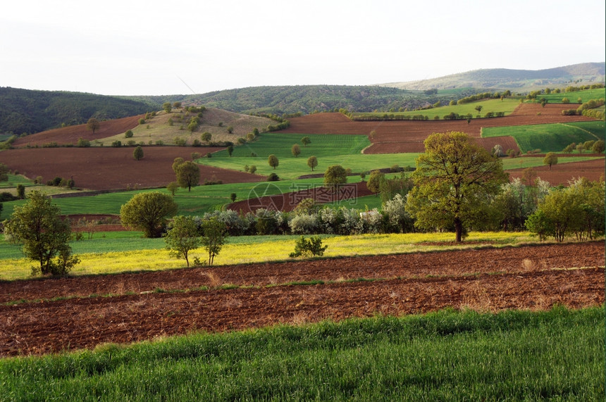 土耳其安纳托利亚的耕地图片