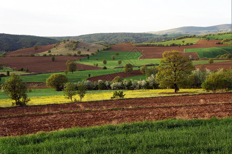 土耳其安纳托利亚的耕地图片