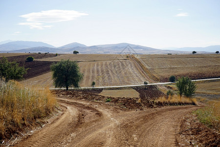 土耳其泥道路和农田图片