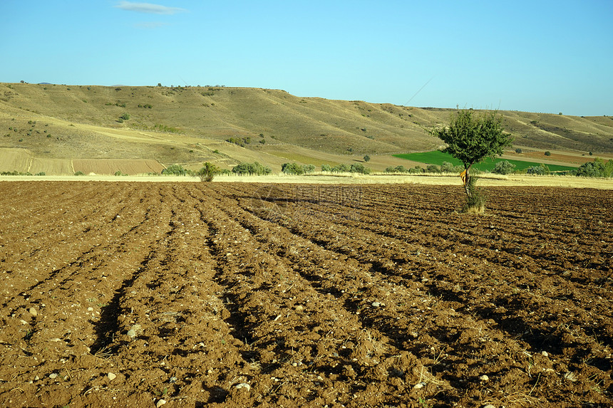 土耳其耕种的农田和树木图片