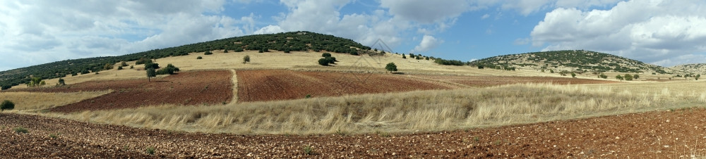 土耳其耕地全景图片