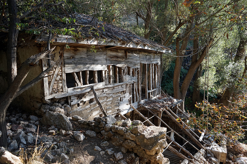 旧的被毁坏传统房屋和树木土耳其图片