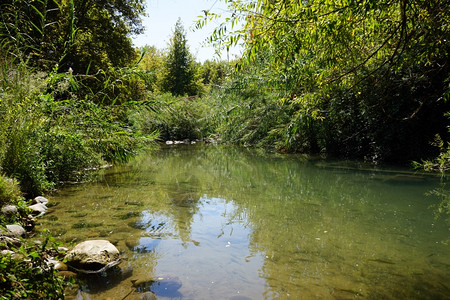 以色列Senir公园的Senir河图片