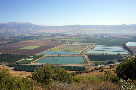 以色列Hula山谷水池中的图片