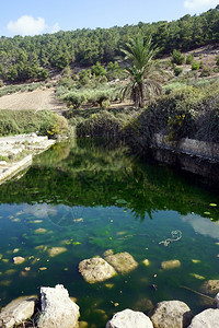 以色列EinIvka泉绿水图片