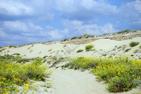 以色列凯萨里亚附近海滩上的长沙丘图片