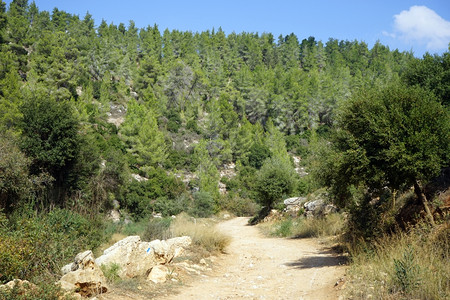 以色列朱迪亚山区公园泥土路图片