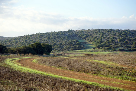 以色列农村地区景观图片