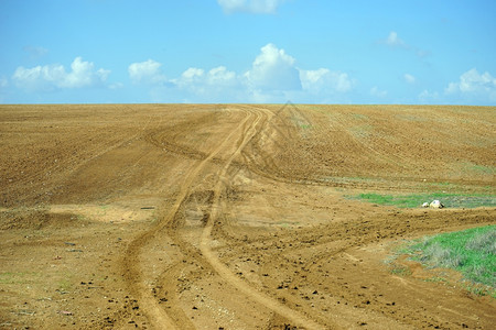 以色列农村的田和耕地图片